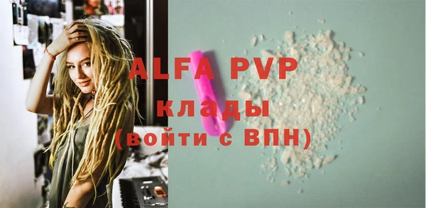 индика Балабаново