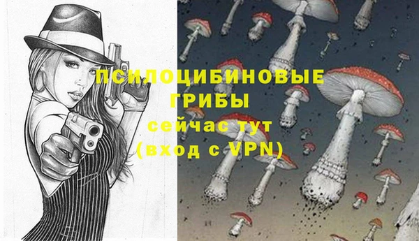 молекула духа Белоозёрский