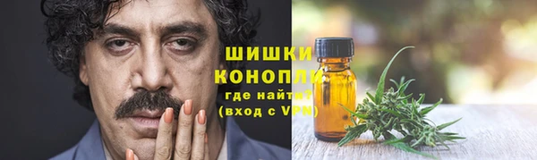 молекула духа Белоозёрский