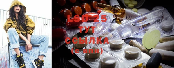 индика Балабаново