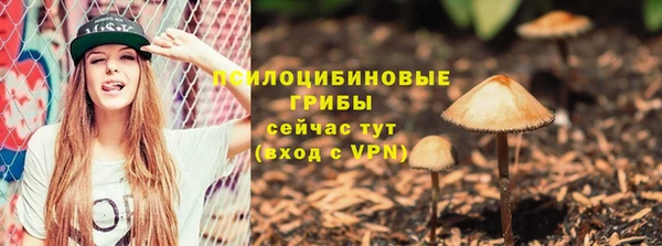 молекула духа Белоозёрский