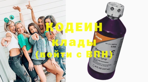 индика Балабаново