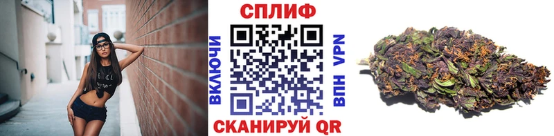 Бошки марихуана VHQ shop состав Ворсма купить
